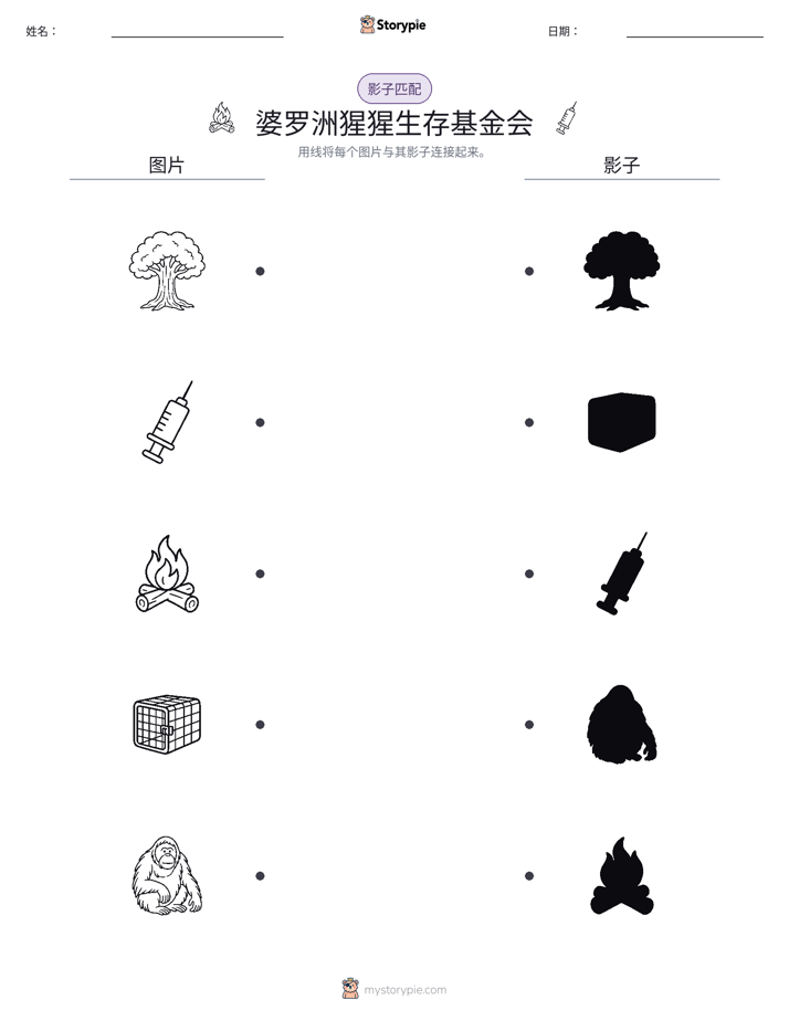 影子匹配