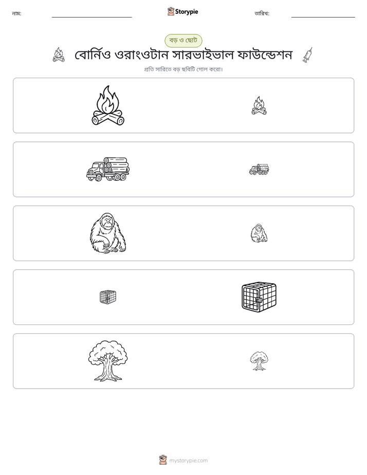 সাজানো