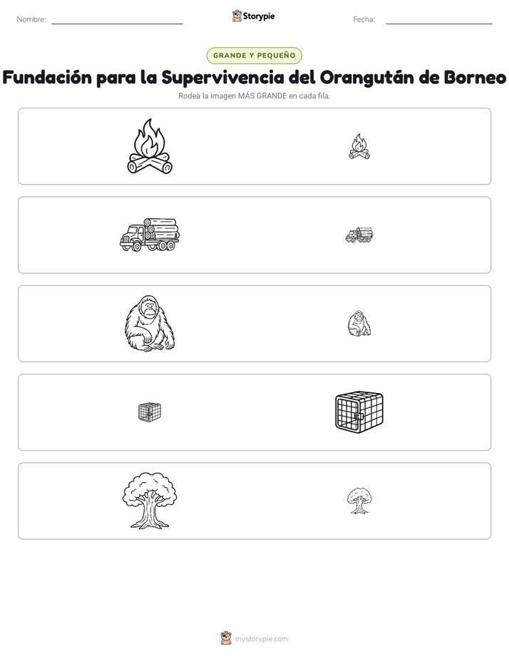 Clasificación