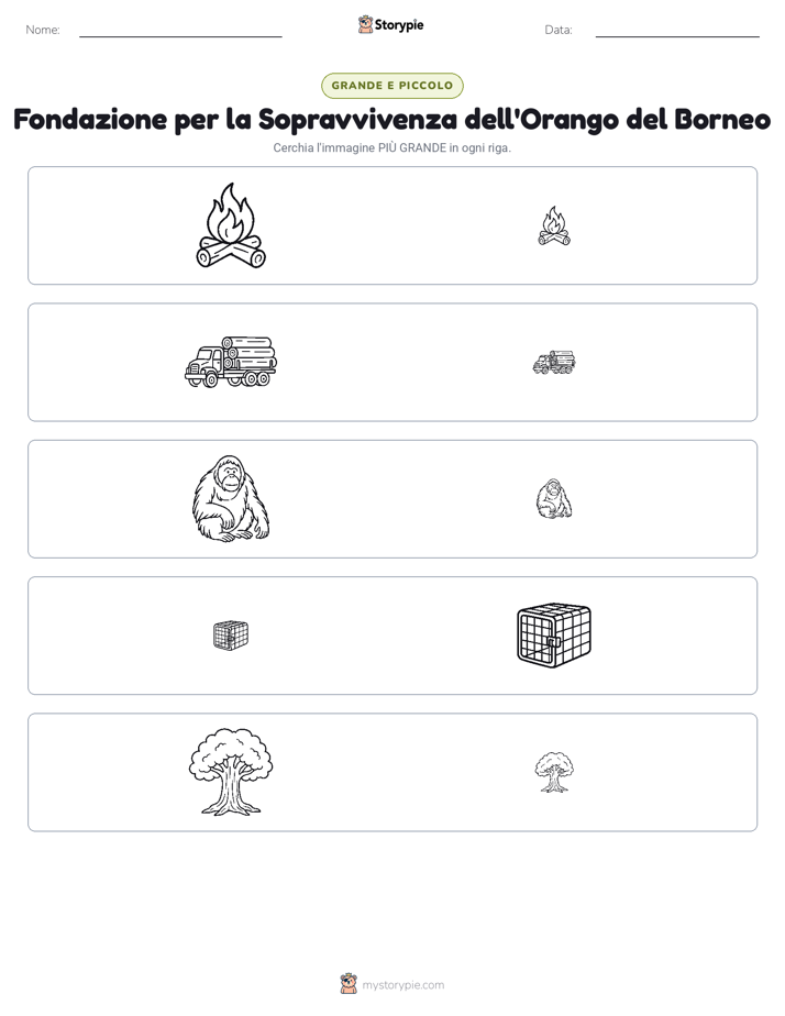 Ordinamento