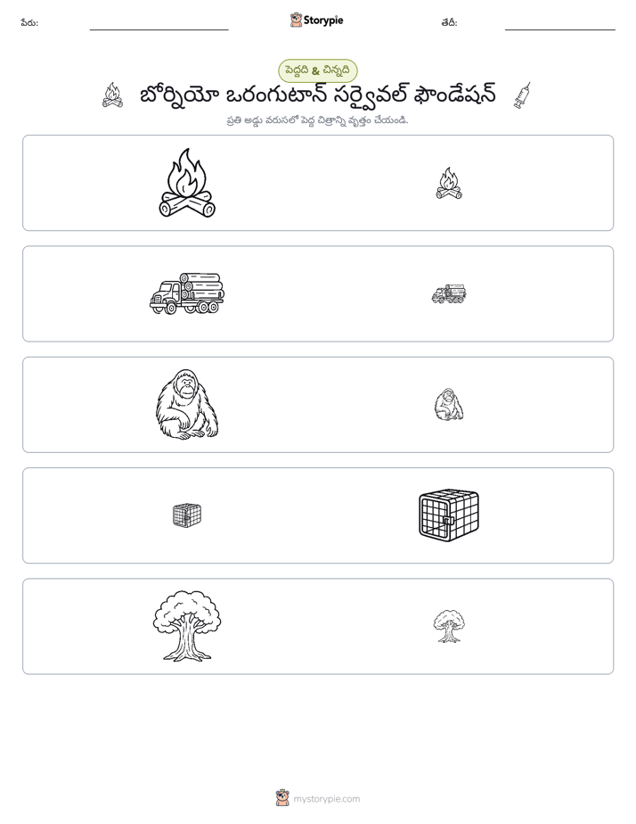 వర్గీకరణ