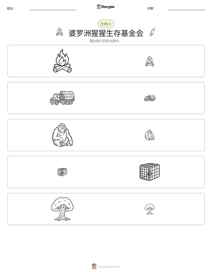 分类