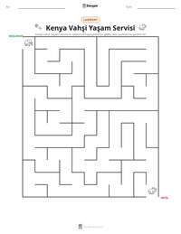 Kenya Vahşi Yaşam Servisi yazdırılabilir çalışma sayfası önizlemesi