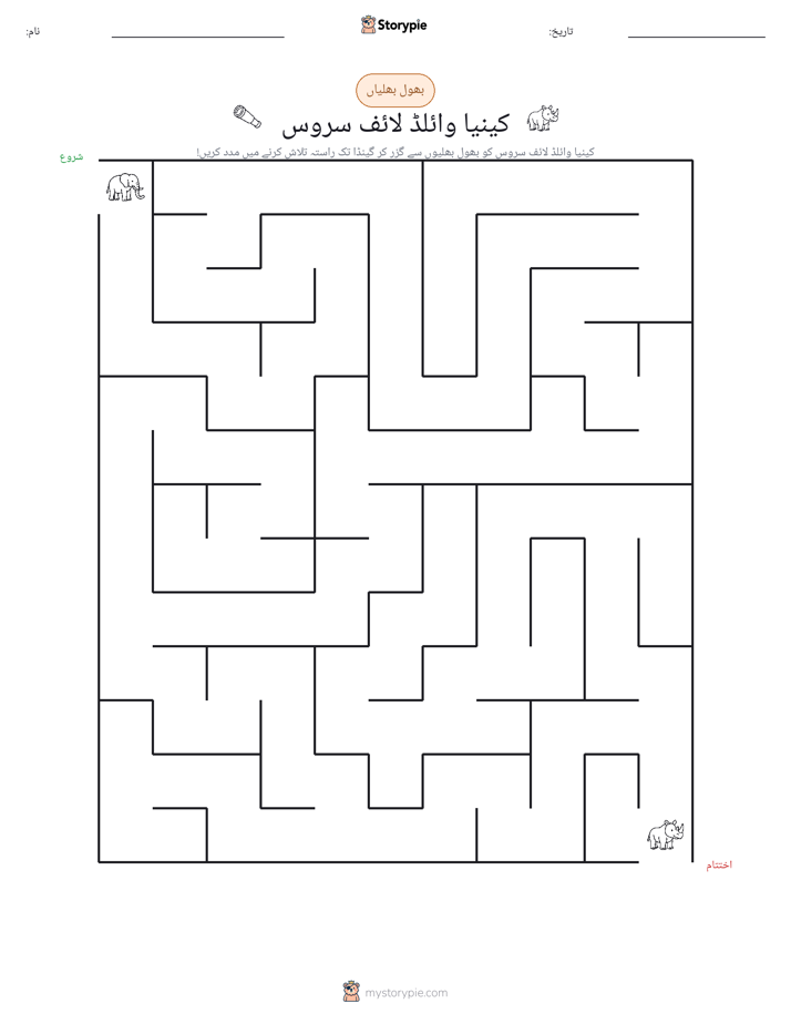 بھول بھلیاں
