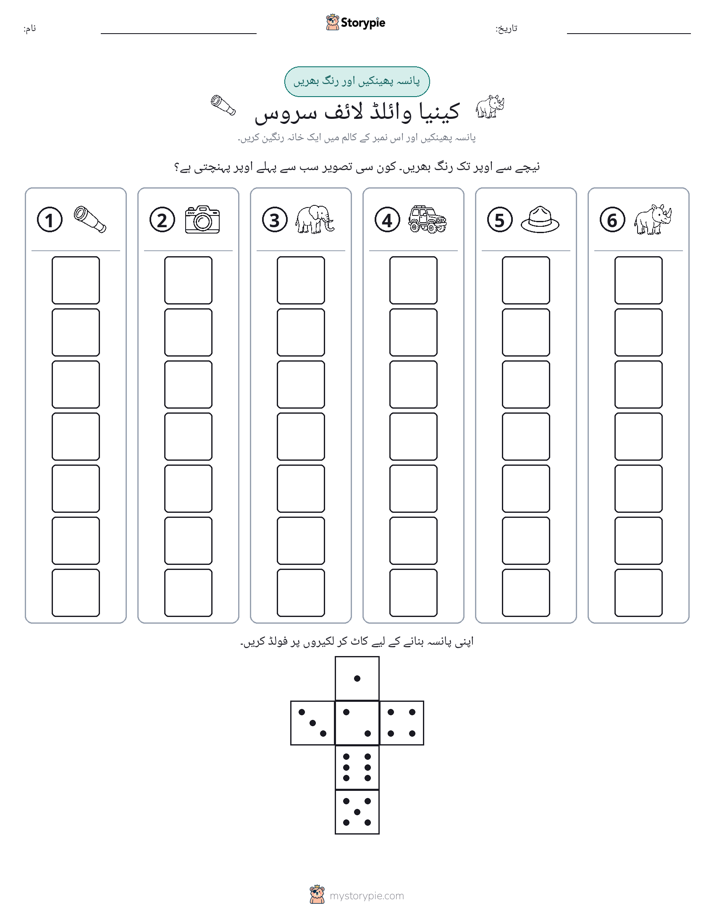 رول اور رنگ