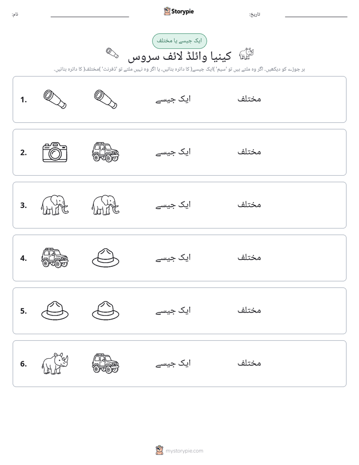 ایک جیسا یا مختلف