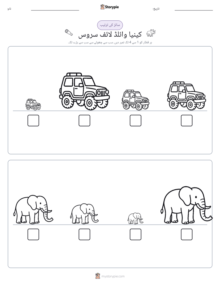 سائز کی ترتیب