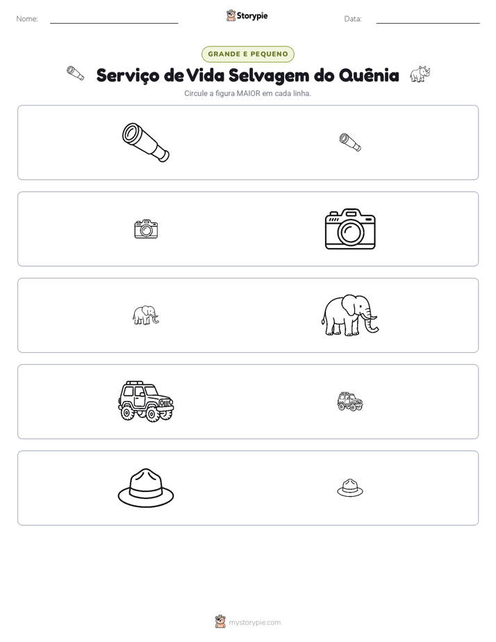 Classificação
