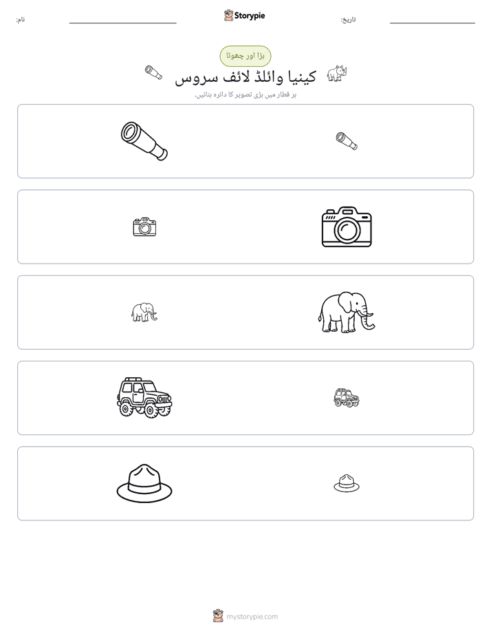 ترتیب دینا