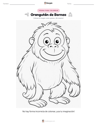 Vista previa de la hoja de trabajo imprimible de Orangután de Borneo