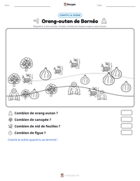 Aperçu de la feuille de travail imprimable Orang-outan de Bornéo