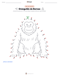 Vista previa de la hoja de trabajo imprimible de Orangután de Borneo