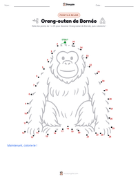 Aperçu de la feuille de travail imprimable Orang-outan de Bornéo