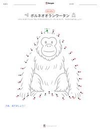 ボルネオオランウータン の印刷可能ワークシートプレビュー