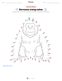 Borneose orang-oetan afdrukbare werkblad voorbeeld
