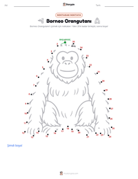 Borneo Orangutanı yazdırılabilir çalışma sayfası önizlemesi