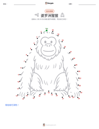婆罗洲猩猩 可打印工作表预览