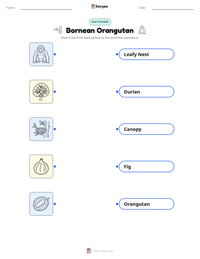 Bornean Orangutan printable worksheet preview