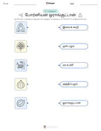 போர்னியன் ஒராங்குட்டான் அச்சிடக்கூடிய வேலைப்பதிவின் முன்னோட்டம்