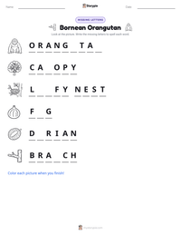 Bornean Orangutan printable worksheet preview