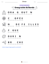 Aperçu de la feuille de travail imprimable Orang-outan de Bornéo
