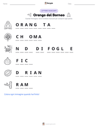 Anteprima della scheda stampabile di Orango del Borneo