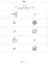 معاينة ورقة العمل القابلة للطباعة إنسان الغاب البورنيوي