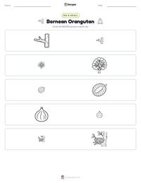 Bornean Orangutan printable worksheet preview
