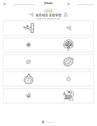보르네오 오랑우탄 인쇄 가능한 워크시트 미리보기