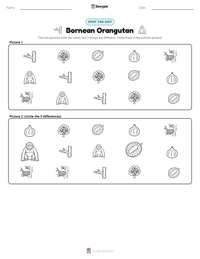 Bornean Orangutan printable worksheet preview