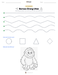 Borneo-Orang-Utan druckbare Arbeitsblatt Vorschau