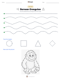 Bornean Orangutan printable worksheet preview