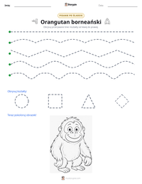Podgląd drukowalnego arkusza ćwiczeń Orangutan borneański