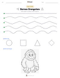 Borneo Orangutanı yazdırılabilir çalışma sayfası önizlemesi