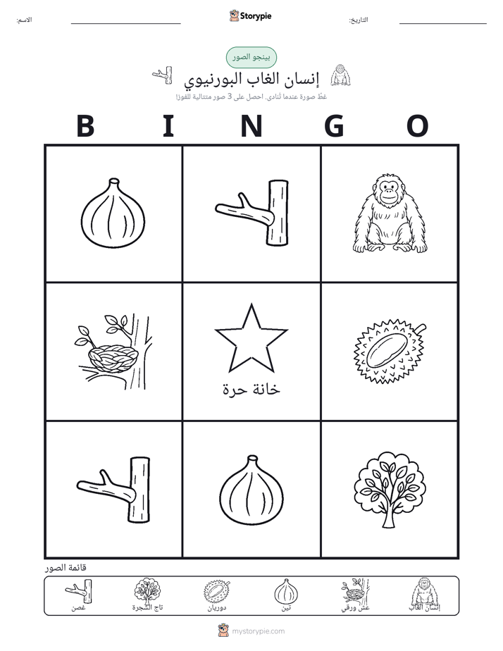بينغو الصور