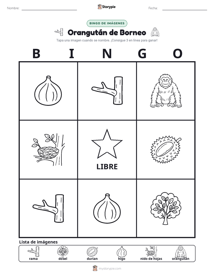 Bingo de Imágenes