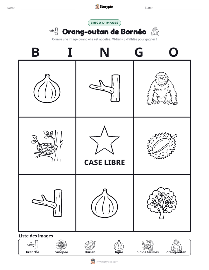Bingo d'Images