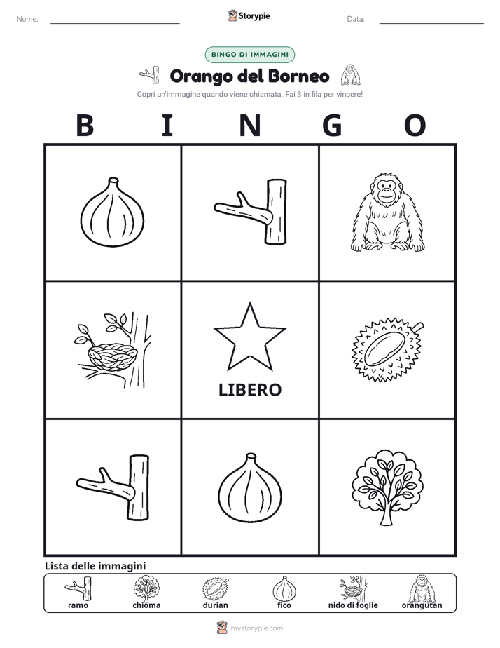 Bingo delle Immagini