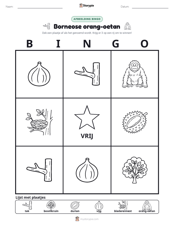 Afbeelding Bingo
