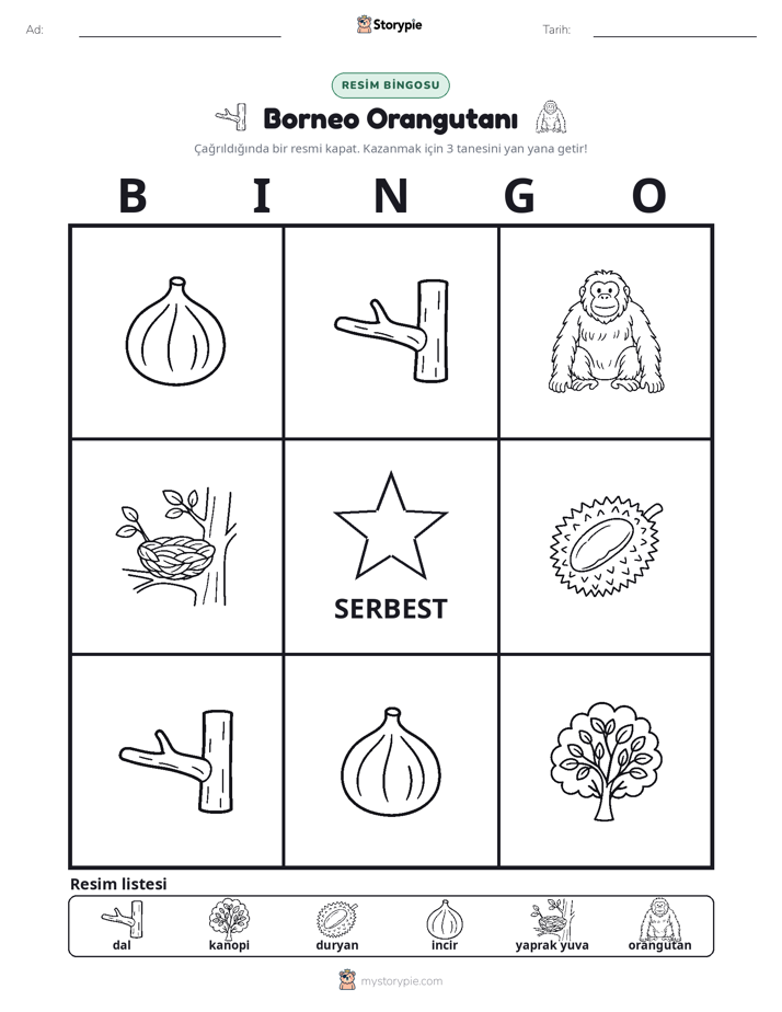 Resim Bingo