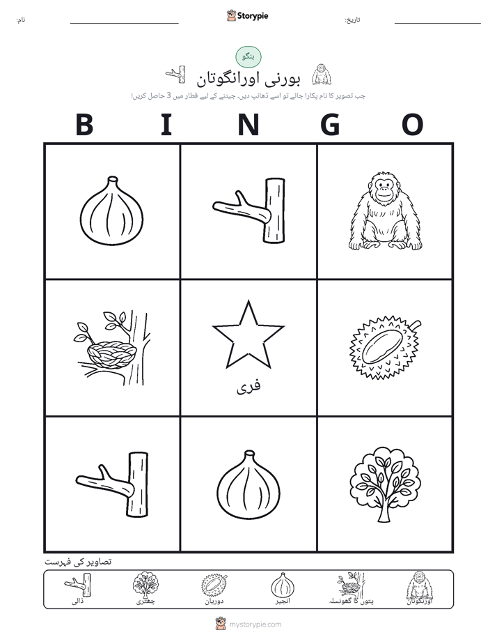 تصویری بنگو