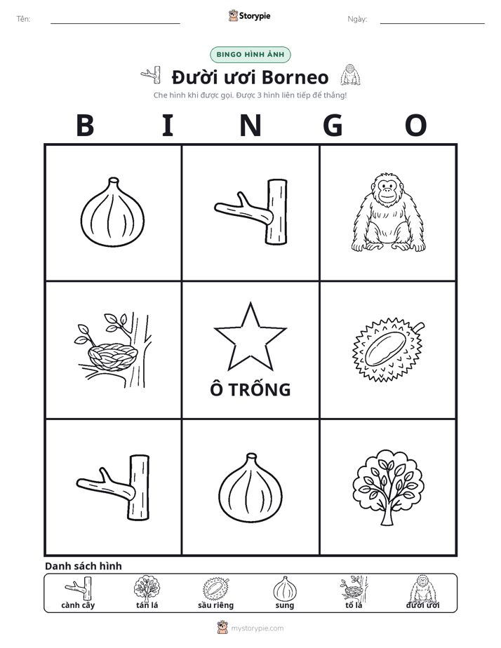 Bingo Hình Ảnh