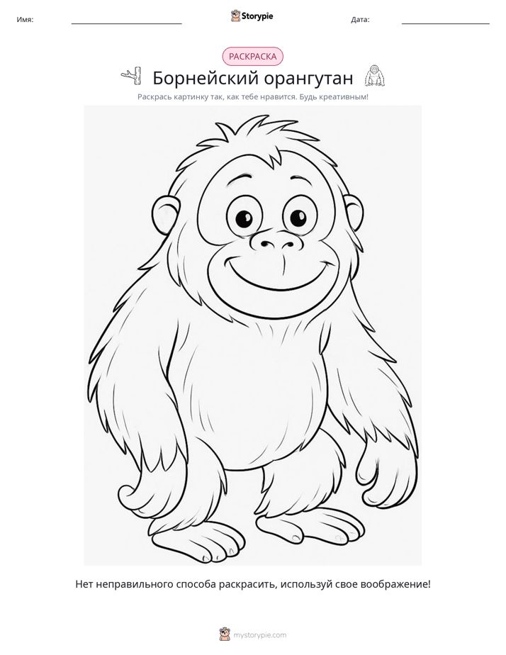 Раскраска