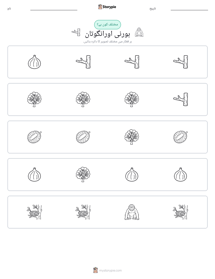 عجیب ایک