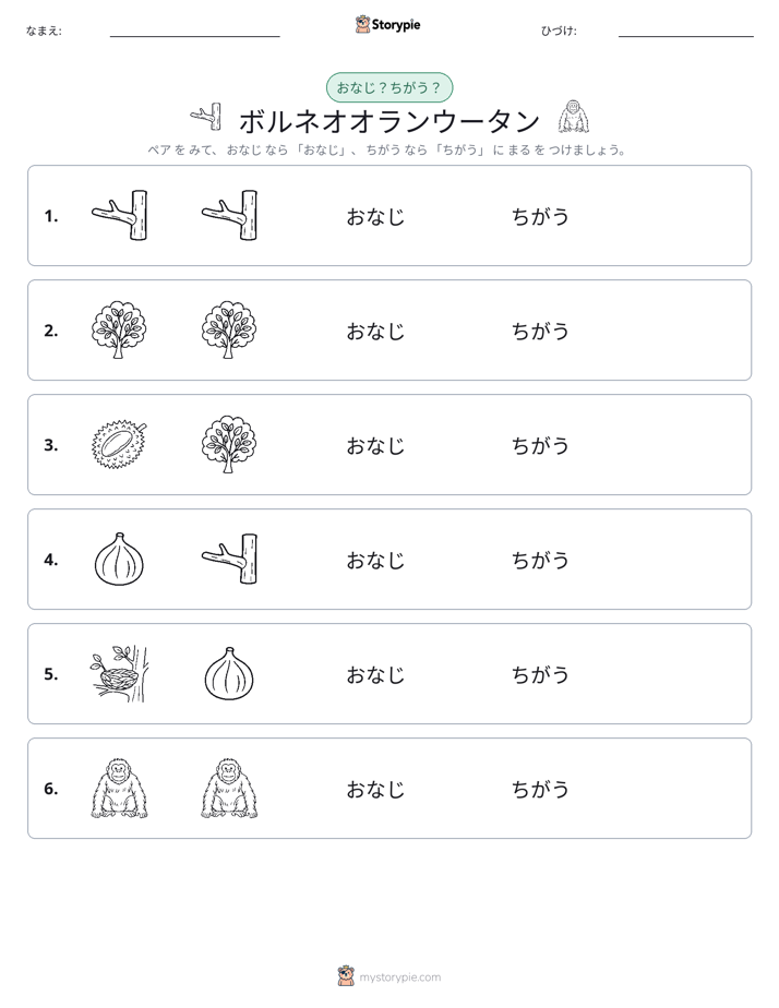 同じか違うか
