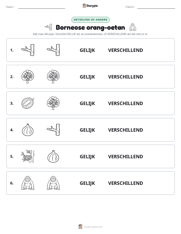 Zelfde of Verschillend