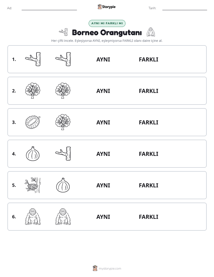 Aynı mı Farklı mı