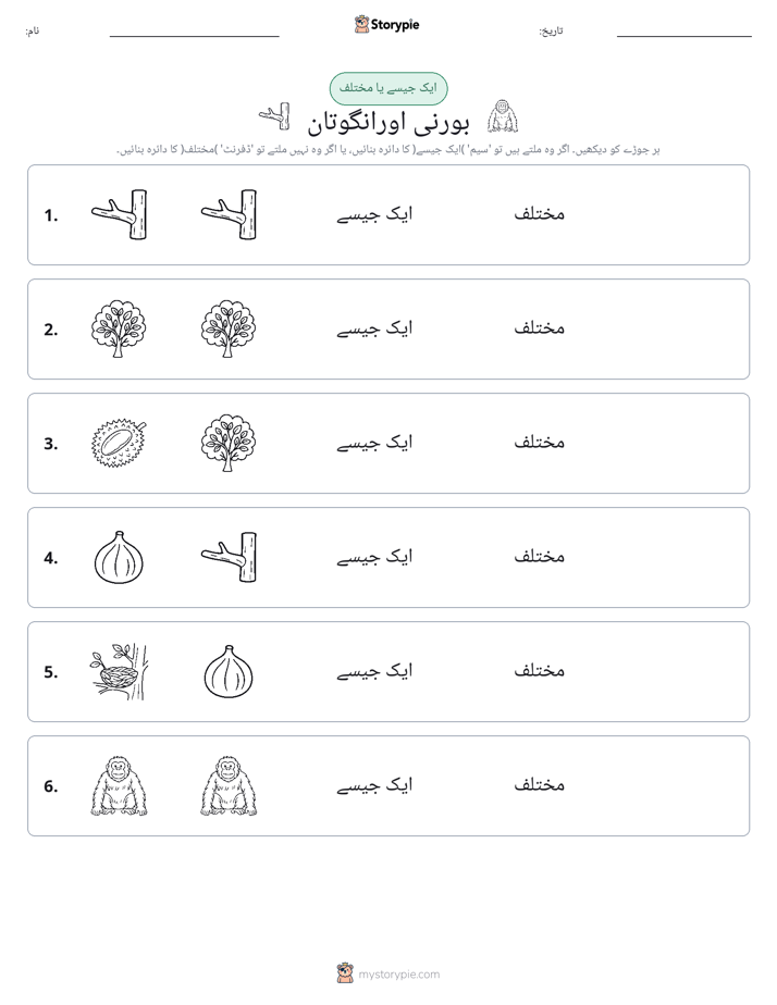 ایک جیسا یا مختلف
