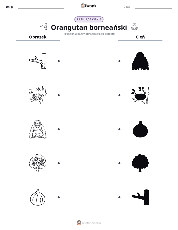 Dopasowanie cieni