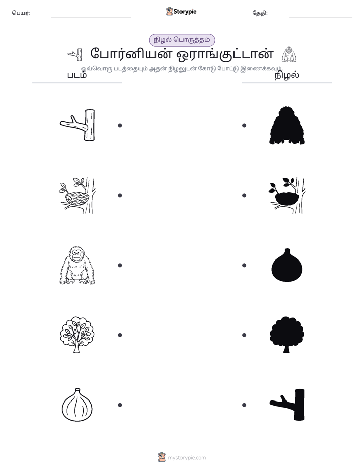 நிழல் பொருத்தம்
